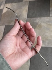 Antique Silver Plated Cocktail Fork Victorian – Edwardian 19th – 20th C.