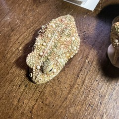 Harmony Kingdom Handmade Boxes Toad Trinket Box Great Britain