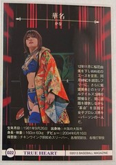 WWE BBM Asuka Women’s Pro Wrestling 2013 Chinese Na022 Collectible Card