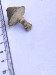 Unknown lead metal detecting find (950)