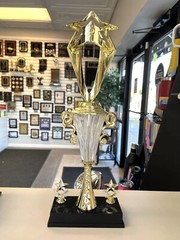 TROPHY CUP LARGE FREE LETTERING ACHIEVEMENT AWARD BEAUTIFUL P-PCG-M DIAMOND CUP