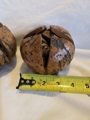 PAIR Vintage NATURAL Full Brazil Nut Pods Home Decor Unique
