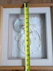 Framed Real Nautilus Shell Cut Wall Art Coastal Beach Decor 13×15 Shadow Box