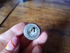 2 x british button military caunt & son london 53st horse lion crown collector