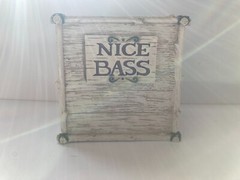 Nice Bass facial tissue holder box cabin lodge décor fish fishing fisherman tree