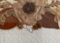 Pressed English Flowers Village Green Country Crafts England Framed Pair Signed