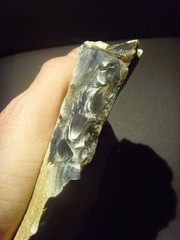 Lower Paleolithic – Finely worked Acheulean side scraper. c.450,000 BP.