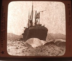 6 NORWAY SWEDEN DENMARK FINLAND whaling vtg antique glass magic lantern slide