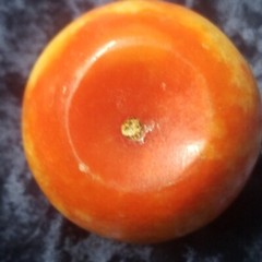 Antique Italian? Alabaster Stone Fruit Marble Red Yellow Apple Great Wood Stem