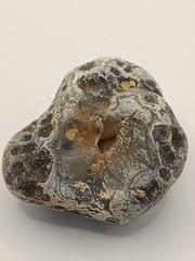 Natural Dalmatian Stone Raw Jasper rock perfect for mineral healing