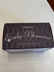 Longaberger Early Blossoms Ceramic Flower Pots & Tray Planter Set