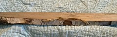 Panama Canal Wall Wood Slice Lot of 5 Decor 3D Relief Carved Painted Scenes