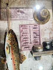 Wooden Fishing Row Boat Diorama -Wall Hanging Art Cabin Bass Decor Sign Display
