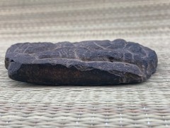 STUNNING unknown figurative “India” Archaeological Plate!!!