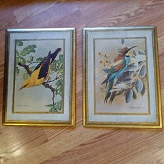 Pair of Vintage Basil Ede Bird Plaques-Gilt on Wood-Made in Italy-16 x 12-1940’s