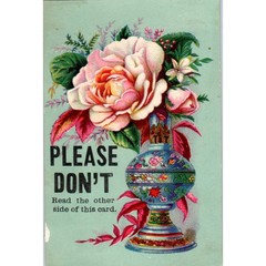 1880s Trade Card Don’t Read the Other Side – A.M. Eddy West Kendall NY SF2