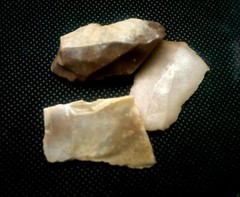 Lower Paleolithic Levallois technique.” Acheulian” 1.4MYA. The Eshelo-Yabrudic