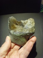 Lower Paleolithic – Large Acheulean notched scraper. c.450,000 BP.