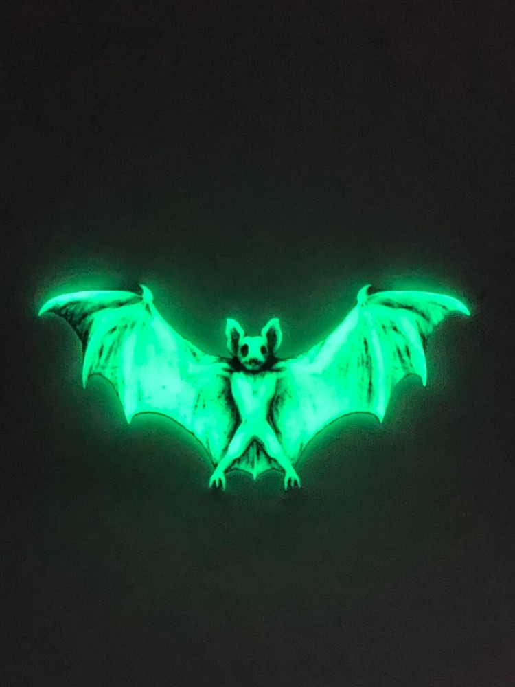 Neil Eyre Designs Halloween Dracula Flying Vampire Bat glow in dark Magnet v2