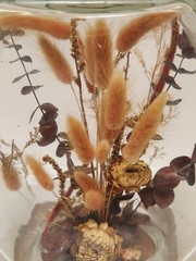 1977 Hand-Crafted Terrarium Dried Flowers Display Mixed Media