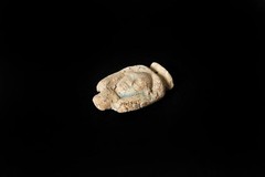 Ancient Egyptian Relief Nefertari Stone Face Statue Pharaonic Collectible Art
