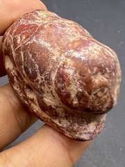Ancient Old Near Eastern Antiques Bactrian Jasper Stone Small Will Animal