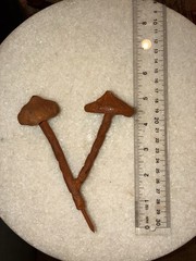 Cast Iron Metal Decorative Mushroom hooks Sculptures Set of 3 Various Sizes