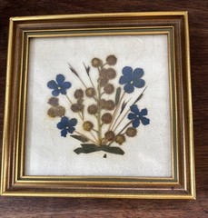 Vintage FLORALP TYROL Pressed Flowers (3) Framed Art Print Hand Made In Austria
