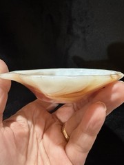 4-AKRO AGATE SLAG GLASS CLAM SHELL TRINKET DISHES IN FOUR DIFFERENT COLORS