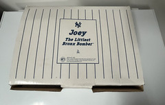 Danbury Mint 1999 Joey The Littlest Bronx Bomber NY Yankees Collectible – NIB