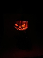 Neil Eyre Designs Halloween horror pumpkin head face Swamp Skull Lantern Box Pot