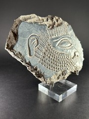 ANCIENT ASSYYRIAN BLACK STONE FRAGMENT DEPICTING KING RULER – CIRCA 3000 BCE