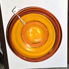 Viking Glass Persimmon Orange Epic Bird Candy Dish W/o Top