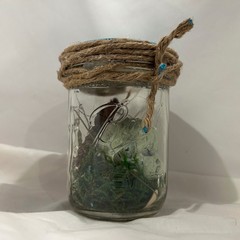 Haint Jar™ Appalachian Folk Horror Doll, Relic Oddity, Gothic, Handmade OOAK