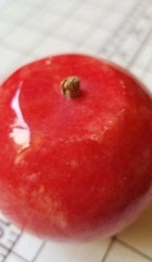 Vintage Alabaster Marble Apple Stone Fruit Italian ~ Wood Stem