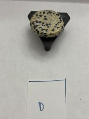 Polished Dalmatian Jasper gemstone 1.25”