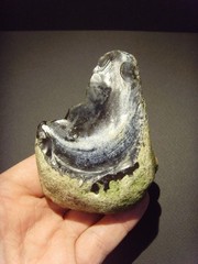 Lower Paleolithic – Fine Acheulean concave scraper/ chopper. c.450,000 BP.
