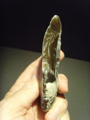 Lower Paleolithic – Superb Acheulean side scraper. c.450,000 BP.