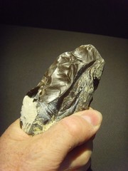 Lower Paleolithic – Superb Acheulean side scraper. c.450,000 BP.