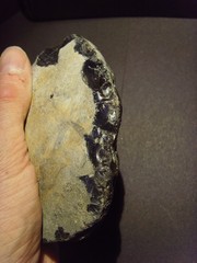 Lower Paleolithic – Large Acheulean ovate scraper. c.450,000 BP.