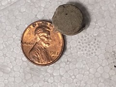 Roman Seal
