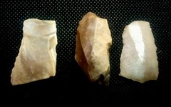 Lower Paleolithic Levallois technique.” Acheulian” 1.4MYA. The Eshelo-Yabrudic