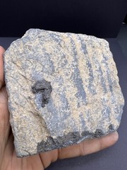 Un Touch Ghandhra Artifact Ancient Indo Greek Era Old Sculptor Fragment Panel