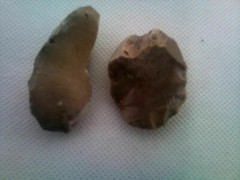 Lower Paleolithic Levallois technique 1.4MYO Jordan Valley Israel