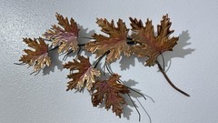 MCM Vintage Copper Metal and Brass Maple Leaf Spray Wall Hanging 21 x12