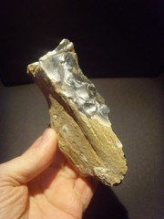 Lower Paleolithic – Finely worked Acheulean side scraper. c.450,000 BP.