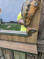 Largemouth Bass Fishing Wall Theme Mirror Cabin Cottage Lake House