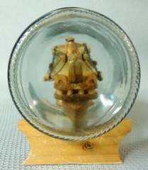 UN Classic Spanish Galleon Ship in a Bottle
