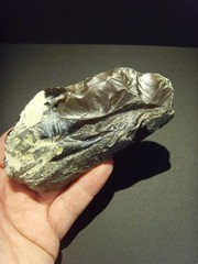 Lower Paleolithic – Superb Acheulean side scraper. c.450,000 BP.