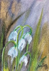 Watercolor ACEO Original Painting by Mary King – Snowdrops